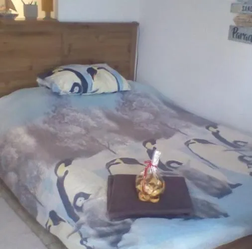 Small And Cosy Appartment- Piccolina Apartament